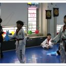 용인대 한얼 태권도 이미지