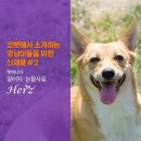 [코리아펫쇼] 국내 참가업체 소개-2