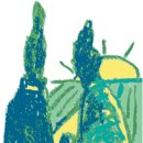 안현초등학교 이미지