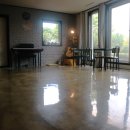 VIP 애견 이미지