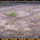 가남공인중개사사무소 이미지