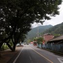 의령 장등산 네이버블로그