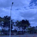 위덕대학교 학교주차장 | 인생 첫 토플 후기