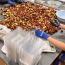 한림농원 이미지