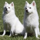 (주)아쿠아테크 이미지