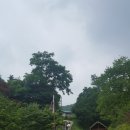 재부밀양고산악회 6월정기산행1 (안동천등산) 이미지