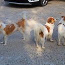 녹유정교육농장 이미지