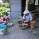 내곡2리 이미지