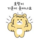 삼과채 이미지