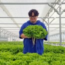 안진농장 이미지