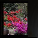 김명관 고택 이미지