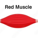 PT특별관 이미지