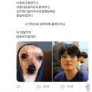 시나본 이미지