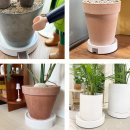 이동-1 | 플라팜 화담 커버형 이동식화분받침대 물받이 원형 1호 실사용 후기