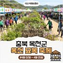 (주)신성산업 | 충북 옥천 가볼만한곳 '옥천묘목축제' 일정 라인업 묘목 무료 나눔 시간 및 주차