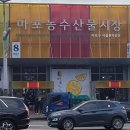 호남건어물