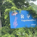 라파엘메디케어 이미지