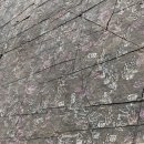 진주 가진리 새발자국과 공룡발자국 화석산지 이미지