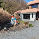 공마당맛집 이미지