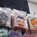 제주샌드여행사 이미지