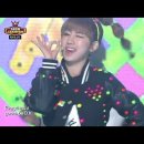 미니마니모 이미지