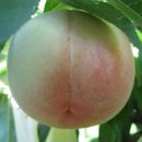 덕우농장 이미지