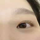 광주속눈썹펌 맛집 :: 에스제이브로우 단백질영양속눈썹펌 후기