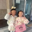 진영종합인성교육관 | 📒 초등학교 1학년 생활통지표 후기 및 해석