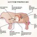 불광동황소곱창 이미지