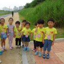 참아름 유치원 Daum카페
