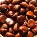 연화농장 이미지