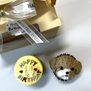 창원 미미펫푸드:) 강아지 생일 케이크 구매후기