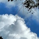 (유)파란하늘 이미지