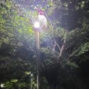 일산호수공원 노래하는 분수대에서 한여름밤 산책