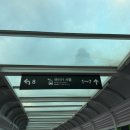 에스케이렌터카 | 🚗 제주 SK렌터카 모닝 후기! 이용 방법 총정리 셔틀버스 이용까지