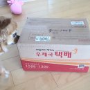 따뜻한 책 선물과 가드닝 초보의 모종 키우기 도전