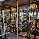 노경우 퍼스널 트레이닝 이미지