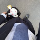 13 | 대구 대봉동 신상카페 빌라 드 패트릭 후기