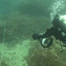 (주)버블디 이미지