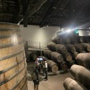 (주)지이투어 | 11월 우기의 포르투갈 포르투 3일차 여행일기 :: 천둥번개 폭우 속의 포르투 / 아침 8시 일출보러 가자...