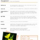 킨소프트 이미지