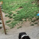 미동목장 이미지