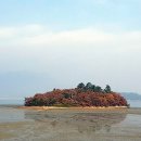닭섬(계도)