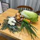 (주)제이씨푸드