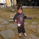 가자 | 🍃 대구 숲에가자 캠핑장 후기: 숲속에서 힐링을 만끽한 하루 🌲