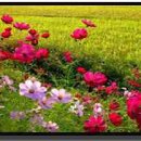 아름다운인연 이미지