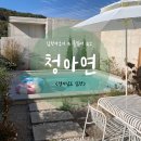 담양 밀크펜션 | 담양온수풀 담양자쿠지숙소 전남수영장펜션 청아연
