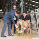 용촌농장 이미지