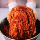김치랑 이미지