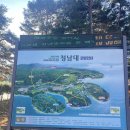 태산로 | 251128 11월 마지막주 청남대 과연 단풍이 남았는가 구경하러 다녀온 후기(+용댕이 매운탕)